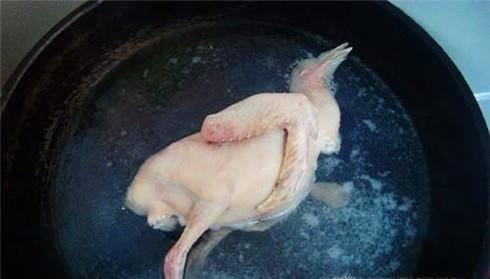 鸽子汤的做法 孕妇 产妇喝鸽子汤大补