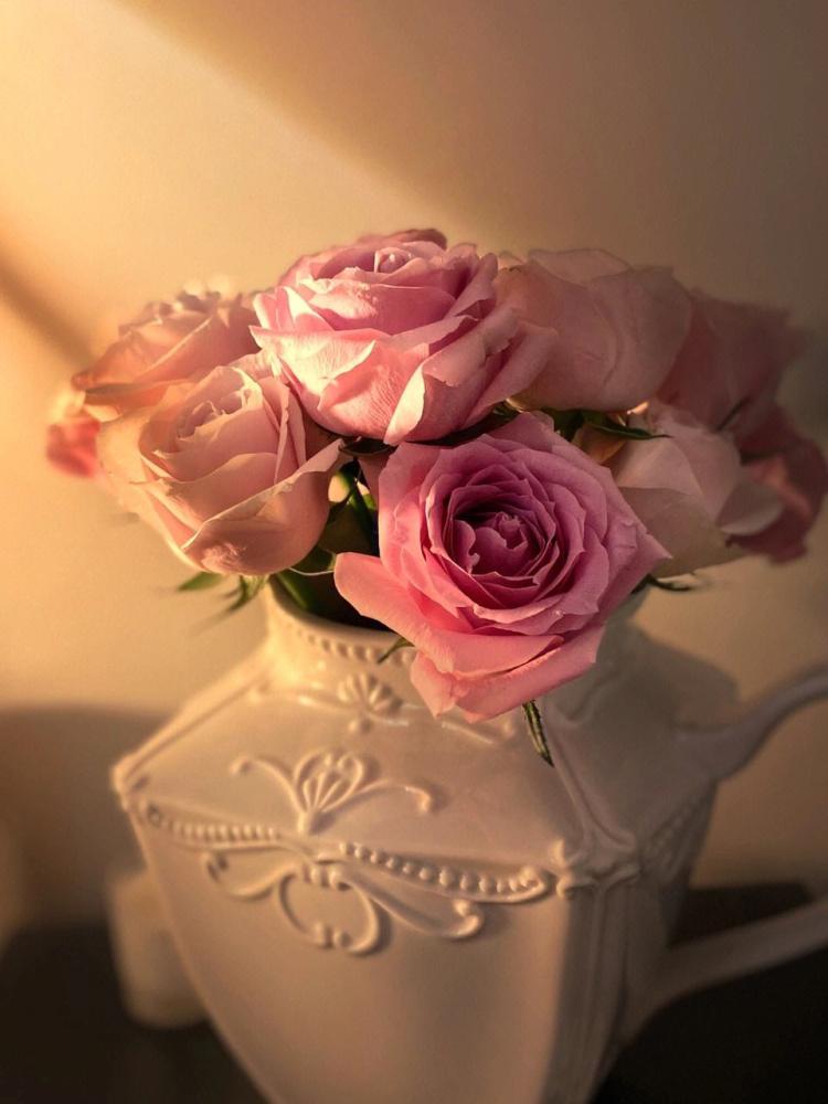 【感谢有你】：送上粉色玫瑰，为朋友加油鼓劲！