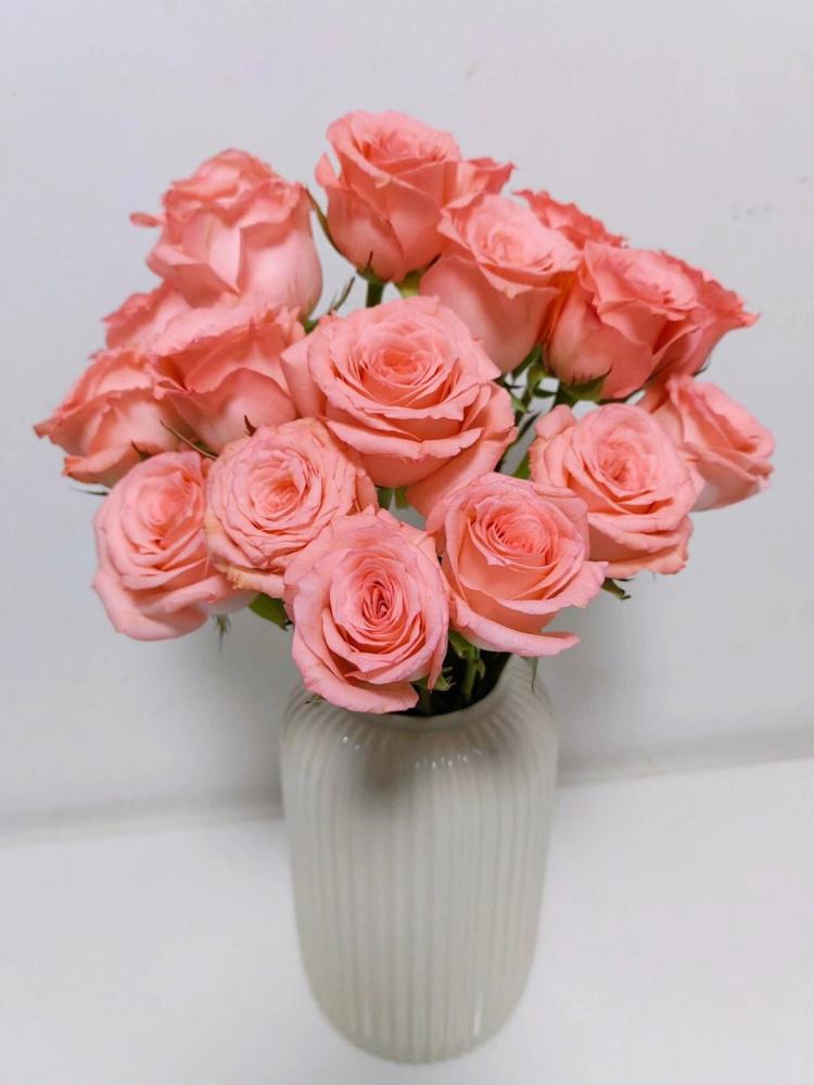 「浅粉色玫瑰花语」，浪漫的象征，寓意深远