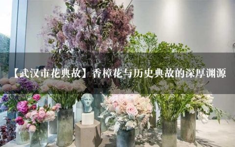 【武汉市花典故】香樟花与历史典故的深厚渊源