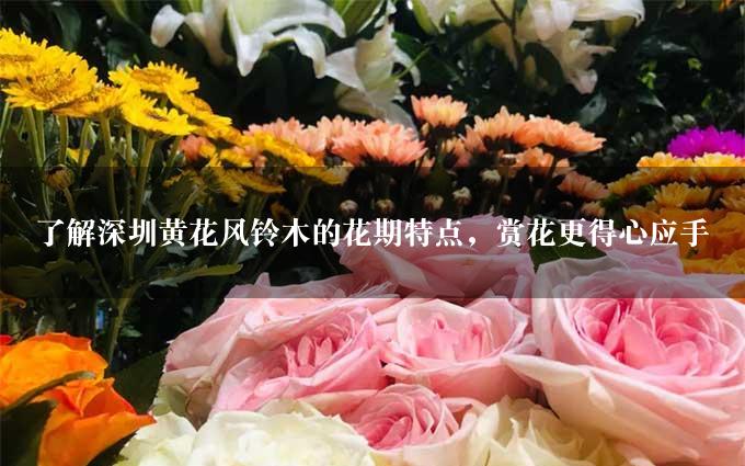 了解深圳黄花风铃木的花期特点，赏花更得心应手
