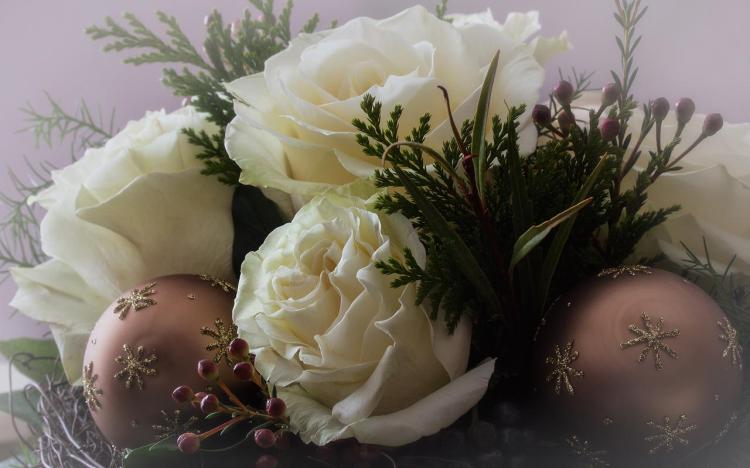 白玫瑰的丰富花语，给你完美的表达方式