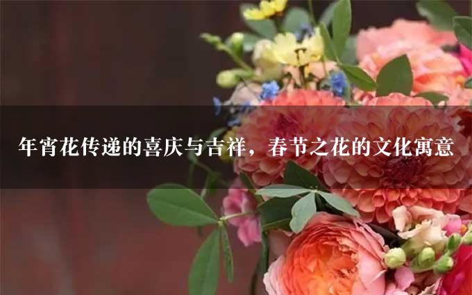年宵花传递的喜庆与吉祥，春节之花的文化寓意