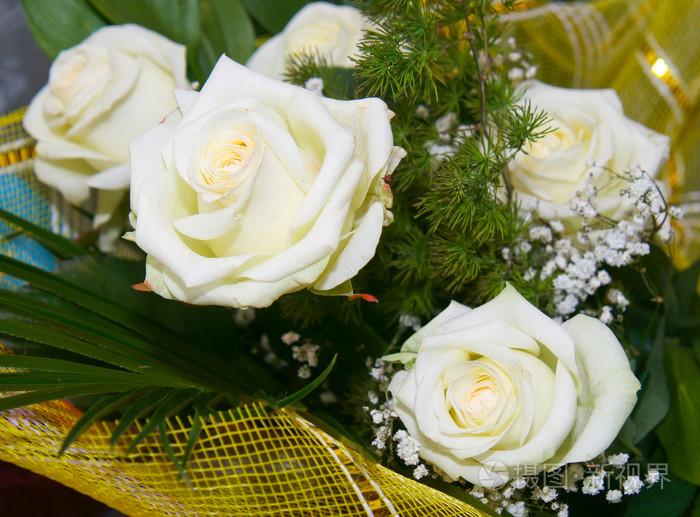 白色玫瑰花的象征意义及文化内涵