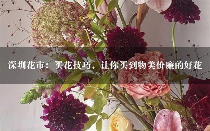 深圳花市：买花技巧，让你买到物美价廉的好花