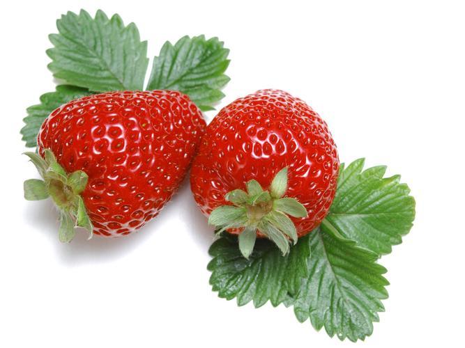 草莓栽培技术的基本要点解析