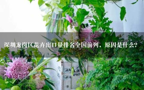 深圳龙岗区花卉出口量排名全国前列，原因是什么？