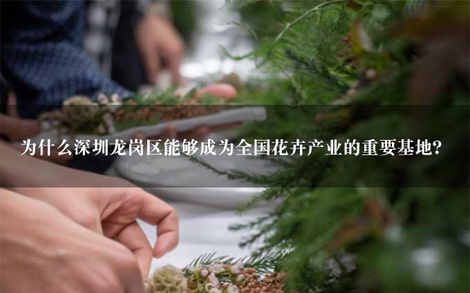 为什么深圳龙岗区能够成为全国花卉产业的重要基地？