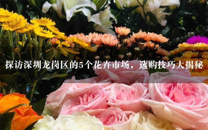 探访深圳龙岗区的5个花卉市场，选购技巧大揭秘