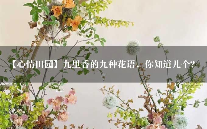 【心情田园】九里香的九种花语，你知道几个？