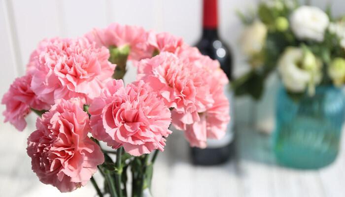 33朵粉色康乃馨花语传情达意，与爱的人分享美好的时刻！