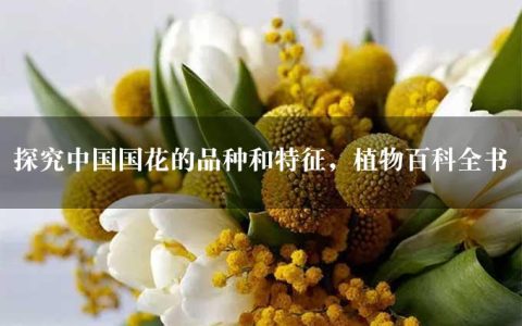 探究中国国花的品种和特征，植物百科全书