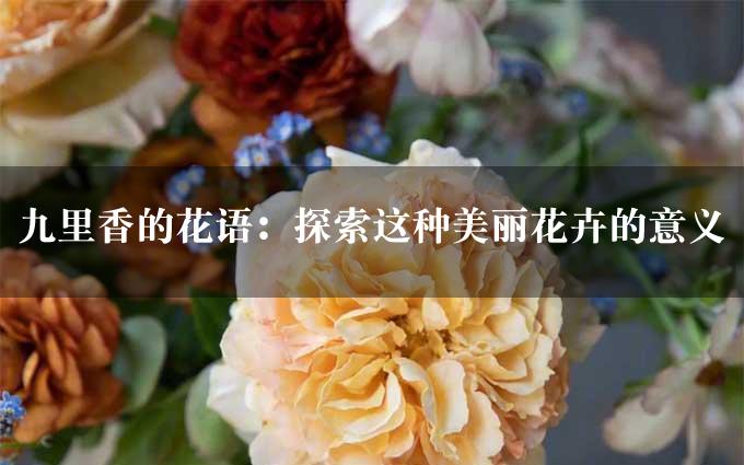 九里香的花语：探索这种美丽花卉的意义