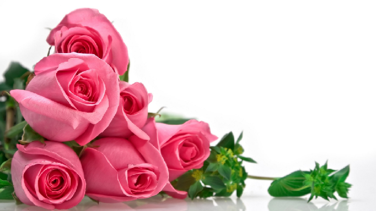 花香满溢，花语欣喜，19朵粉玫瑰的花语代表什么