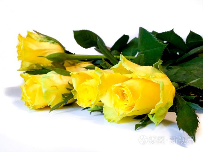 花影语：认识一朵黄玫瑰的真正含义