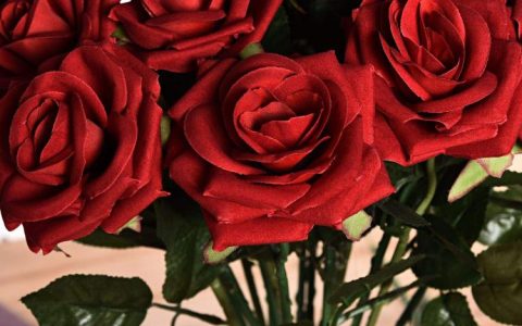 记得送上紫色玫瑰花卉去纪念和致敬你的亲人和朋友们！