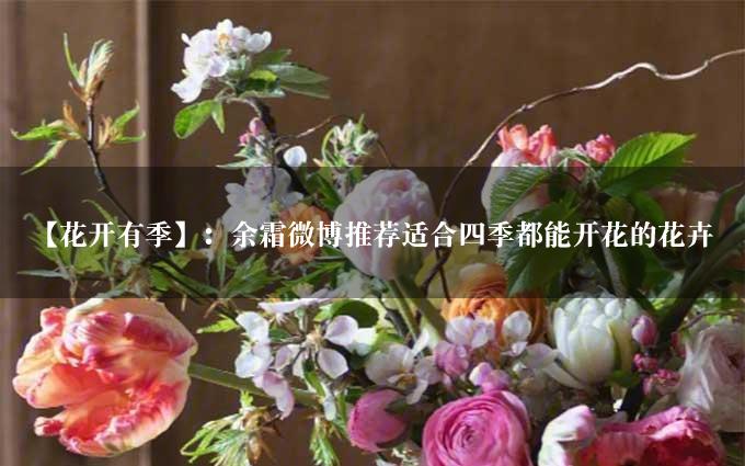 【花开有季】：余霜微博推荐适合四季都能开花的花卉