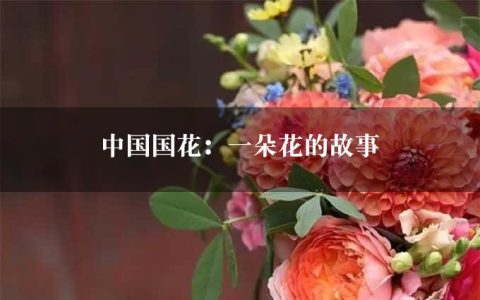 中国国花：一朵花的故事