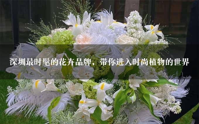 深圳最时髦的花卉品牌，带你进入时尚植物的世界