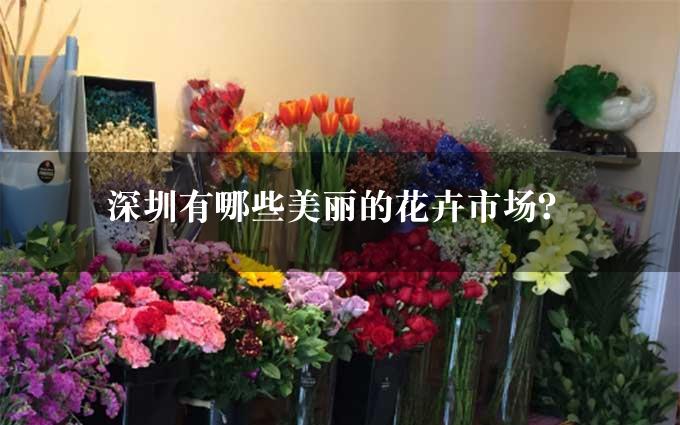 深圳有哪些美丽的花卉市场？