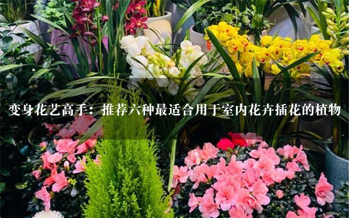 变身花艺高手：推荐六种最适合用于室内花卉插花的植物