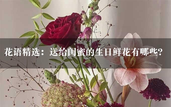 花语精选：送给闺蜜的生日鲜花有哪些？