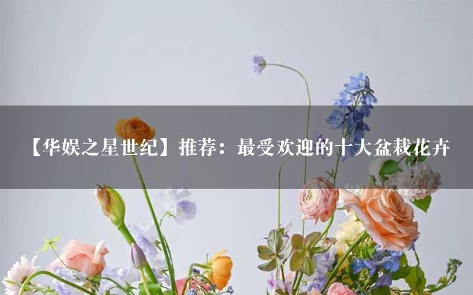 【华娱之星世纪】推荐：最受欢迎的十大盆栽花卉