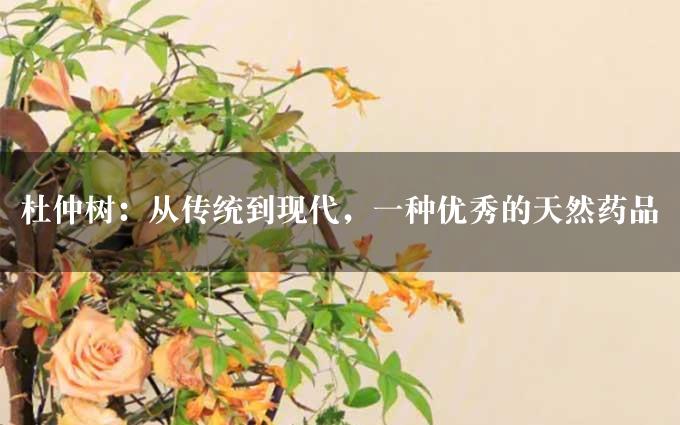 杜仲树：从传统到现代，一种优秀的天然药品