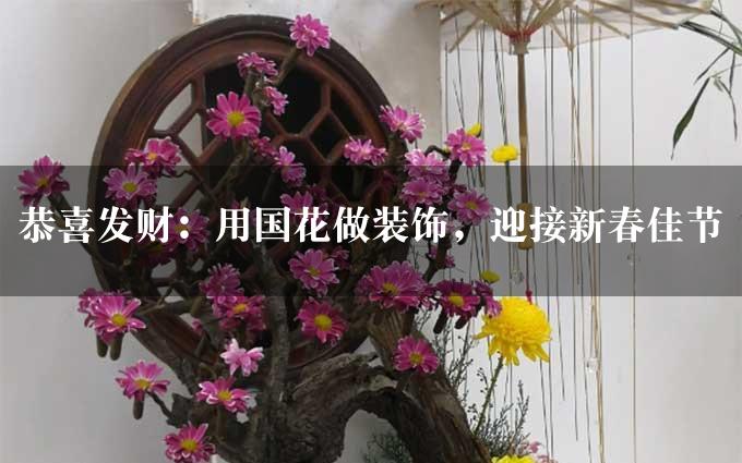 恭喜发财：用国花做装饰，迎接新春佳节