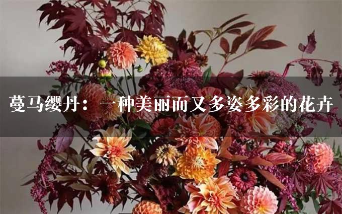 蔓马缨丹：一种美丽而又多姿多彩的花卉