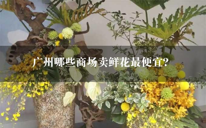 广州哪些商场卖鲜花最便宜？