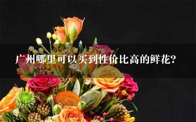 广州哪里可以买到性价比高的鲜花？