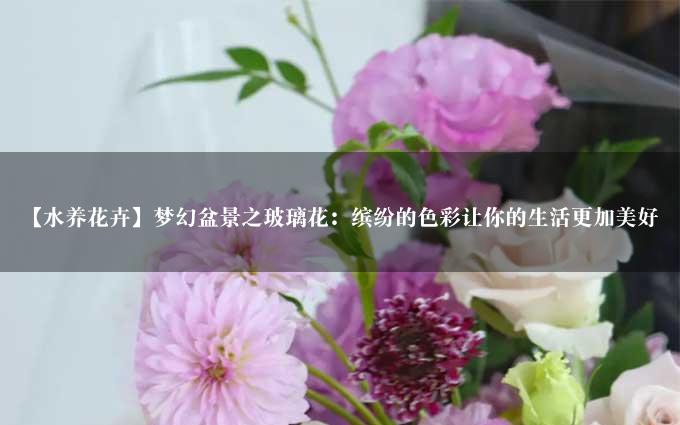 【水养花卉】梦幻盆景之玻璃花：缤纷的色彩让你的生活更加美好