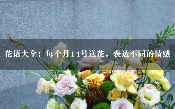 花语大全：每个月14号送花，表达不同的情感