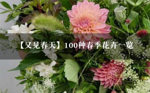 【又见春天】100种春季花卉一览