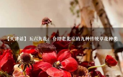 【天津话】五六九花：介绍老北京的九种传统草花种类