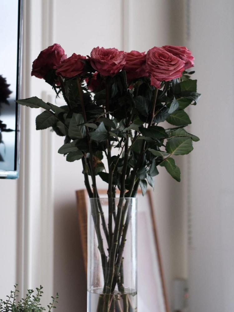 传递最美祝福：12朵红玫瑰的文化背景与象征意义！