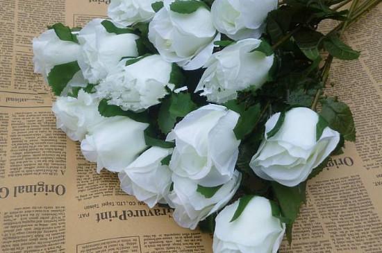 红玫瑰和白玫瑰的含义，感知爱情的丰富内涵