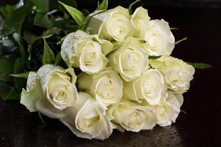 白玫瑰代表什么寓意？一篇关于玫瑰之王的探究