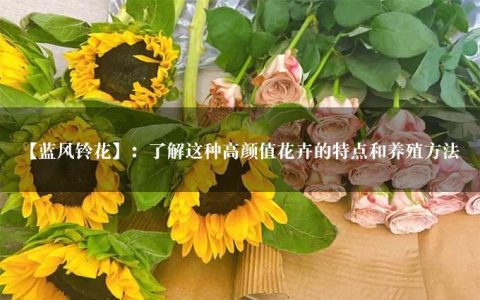 【蓝风铃花】：了解这种高颜值花卉的特点和养殖方法