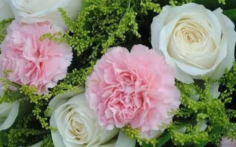甜美浪漫的粉色康乃馨花束，为你呈现生命之美