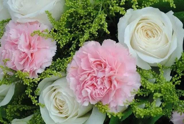 甜美浪漫的粉色康乃馨花束，为你呈现生命之美