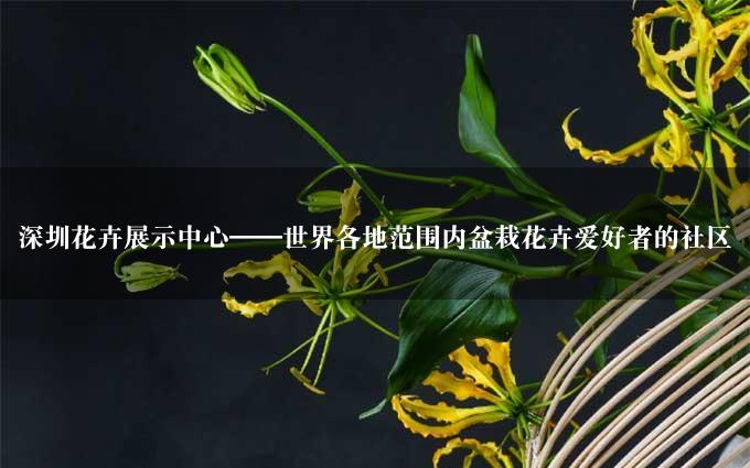 深圳花卉展示中心——世界各地范围内盆栽花卉爱好者的社区