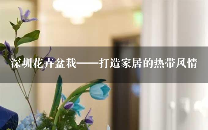 深圳花卉盆栽——打造家居的热带风情