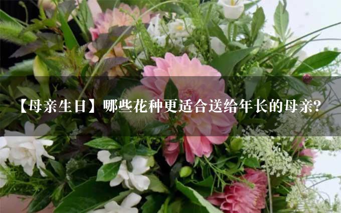 【母亲生日】哪些花种更适合送给年长的母亲？