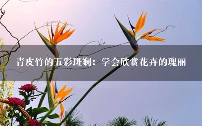 青皮竹的五彩斑斓：学会欣赏花卉的瑰丽