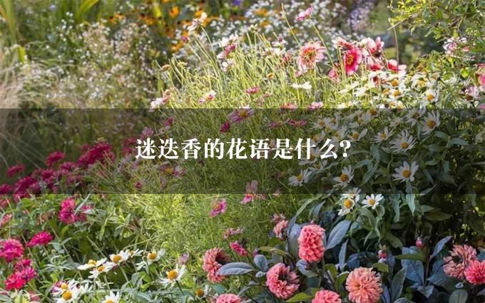 迷迭香的花语是什么？