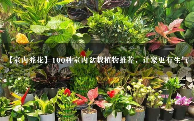 【室内养花】100种室内盆栽植物推荐，让家更有生气