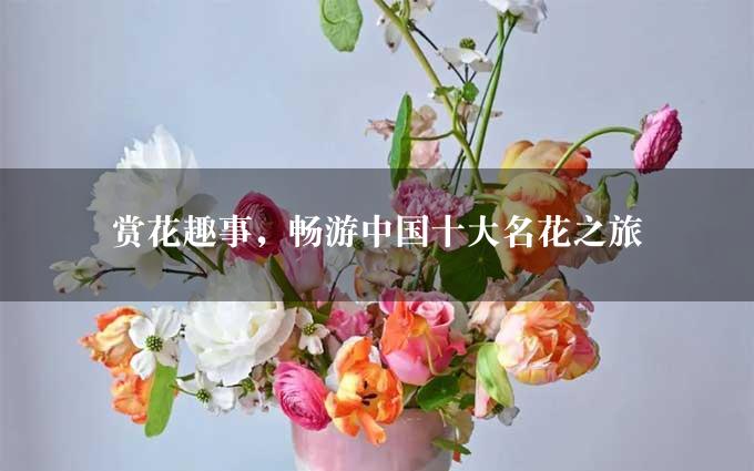 赏花趣事，畅游中国十大名花之旅