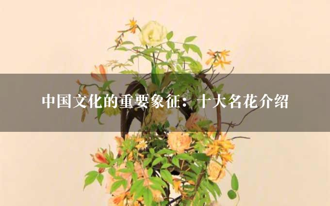 中国文化的重要象征：十大名花介绍
